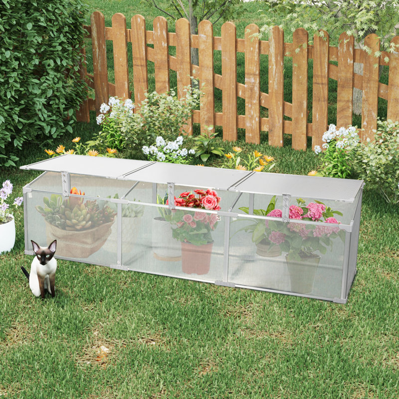 Serre en polycarbonate pour l'extérieur en hiver