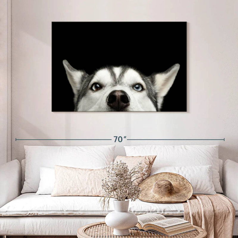 Peeking Husky sibérien, H 8 po x l 12 po
