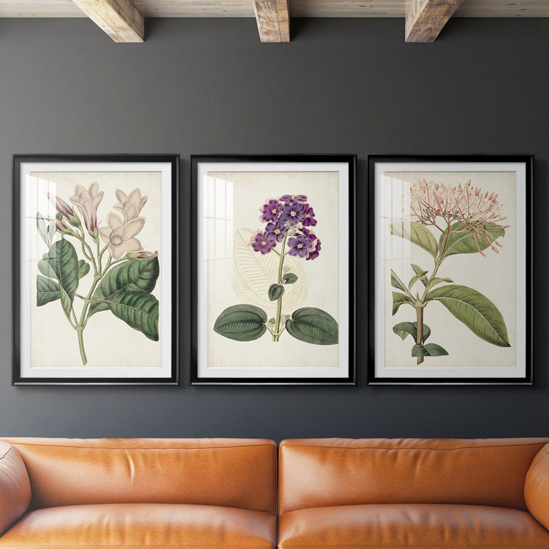 Antique Botanical Collection, H 15 po x l 19 po