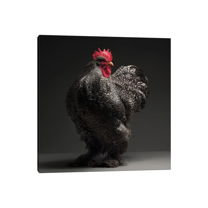 Cochin - Wrapped Canvas Print, 30.48 cm H x 30.48 cm W