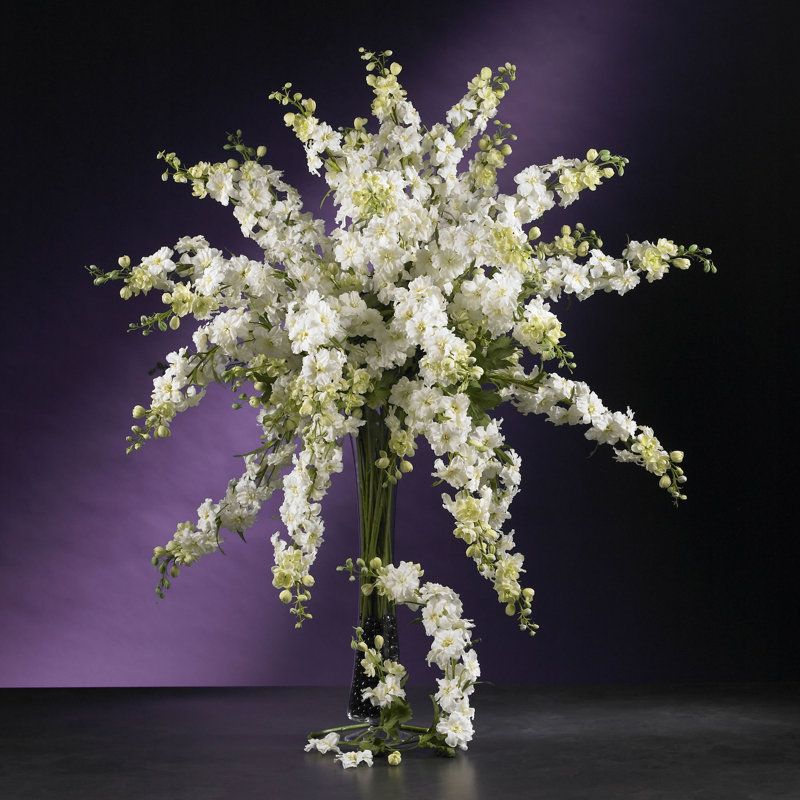 Tiges Delphinium