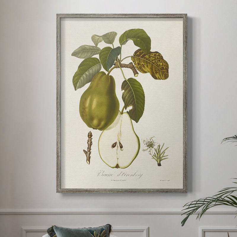 Vintage Pears IV, reproduction encadrée - bois massif, H 11 po x l 9 po