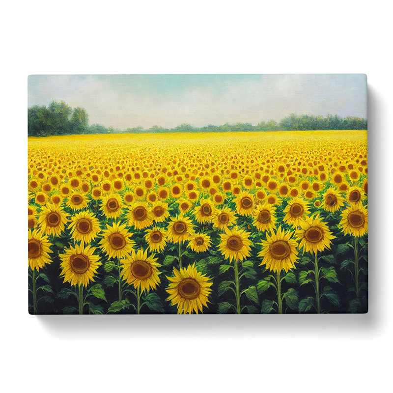 Head Turning Sunflower Field - Wrapped Canvas Painting, 40cm H x 60cm W x 3cm D