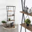 Carramar 180 cm H x 80 cm W Solid Wood Etagere Bookcase