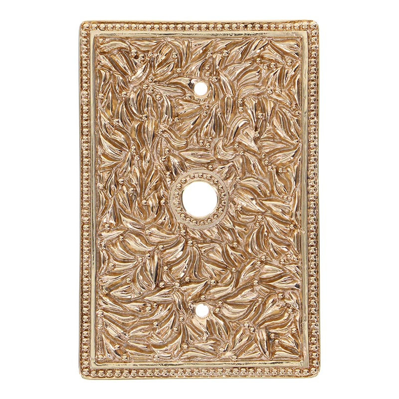 San Michele 1-Gang Coax Wall Plate, Polished Gold