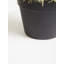 30cm Faux Cactus Plant in Pot