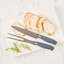 GreenPan Titanium 2-Piece Carving Set