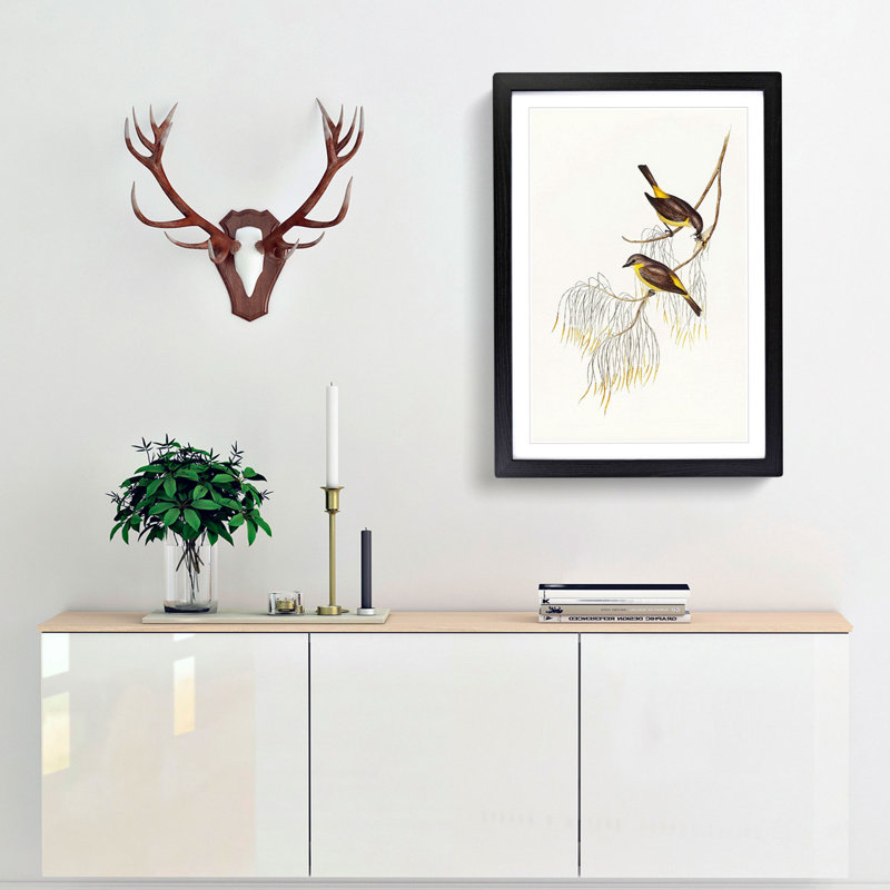 Yellow-Breasted Robins by Elizabeth Gould - Picture Frame Art Print, Black Framed, 48cm H x 36cm W x 2cm D