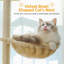 Maubray 138cm H Cat Tree