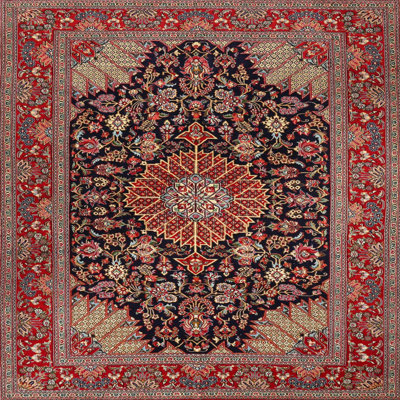 Hugues Oriental Indoor Rug