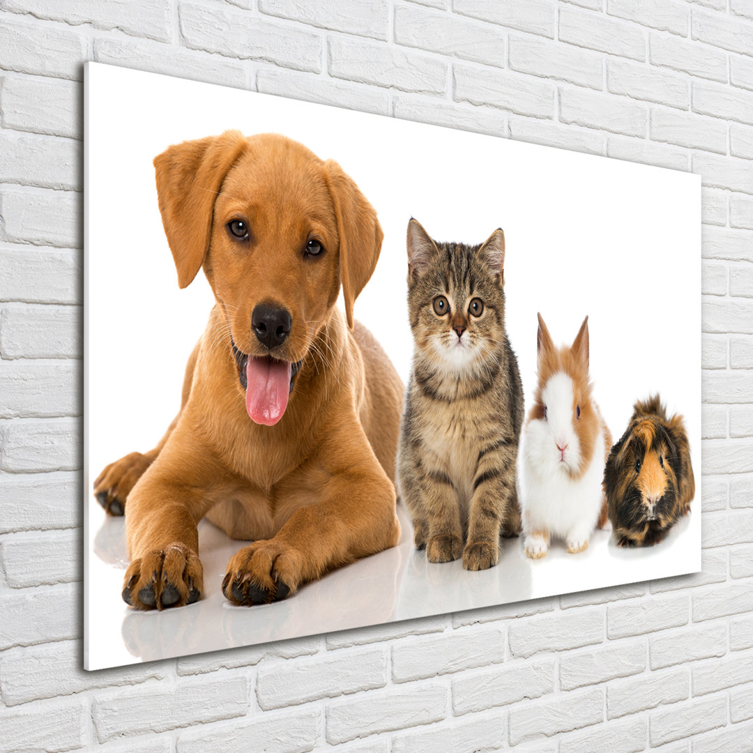 Glasbild Hund und Katze