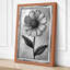 Daisy Study Botanical - Wrapped Canvas-280790898-280790901