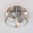 Rakestraw 12.2'' Flush Mount Caged Ceiling Fan with LED Lights and Remote Control-1201331152