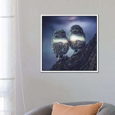 Owl Twins by Paul Haag - Print on Canvas
