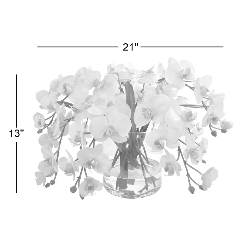 Phalaenopsis Orchid In Glass