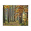 No Frame Print on Canvas-1389589841