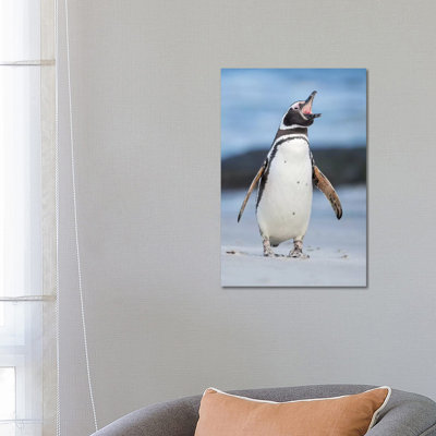 Magellanic Penguin, Falkland Islands. by Martin Zwick - Wrapped Canvas Print