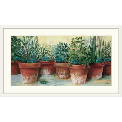 Potted Herbs Farmhouse / Country