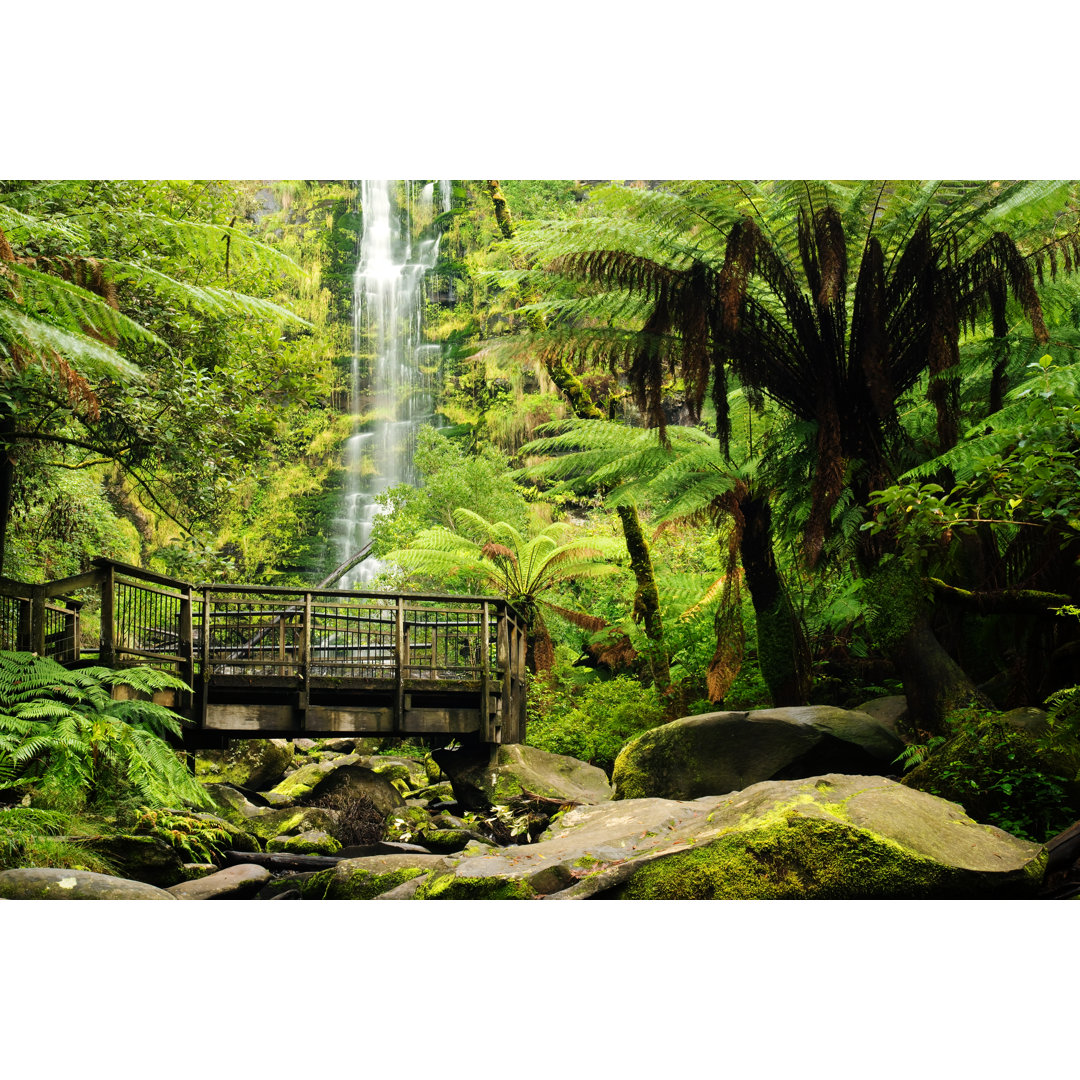 Great Ocean Road - Erskine Falls von Kokkai Ng - Druck auf Leinwand ohne Rahmen