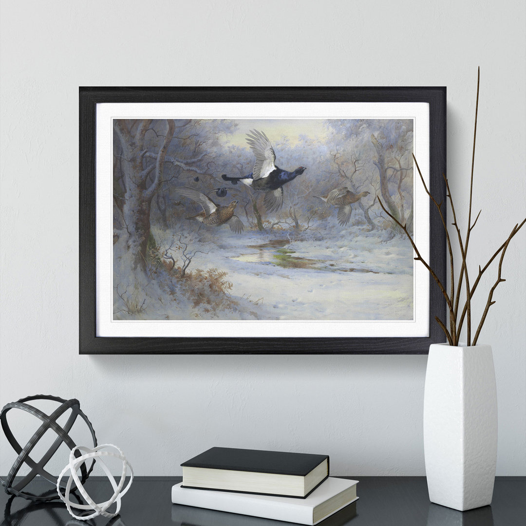 Blackcock and Grouse in Flight by Archibald Thorburn - Picture Frame Painting
