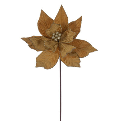 Tiges de poinsettias de Cleorand