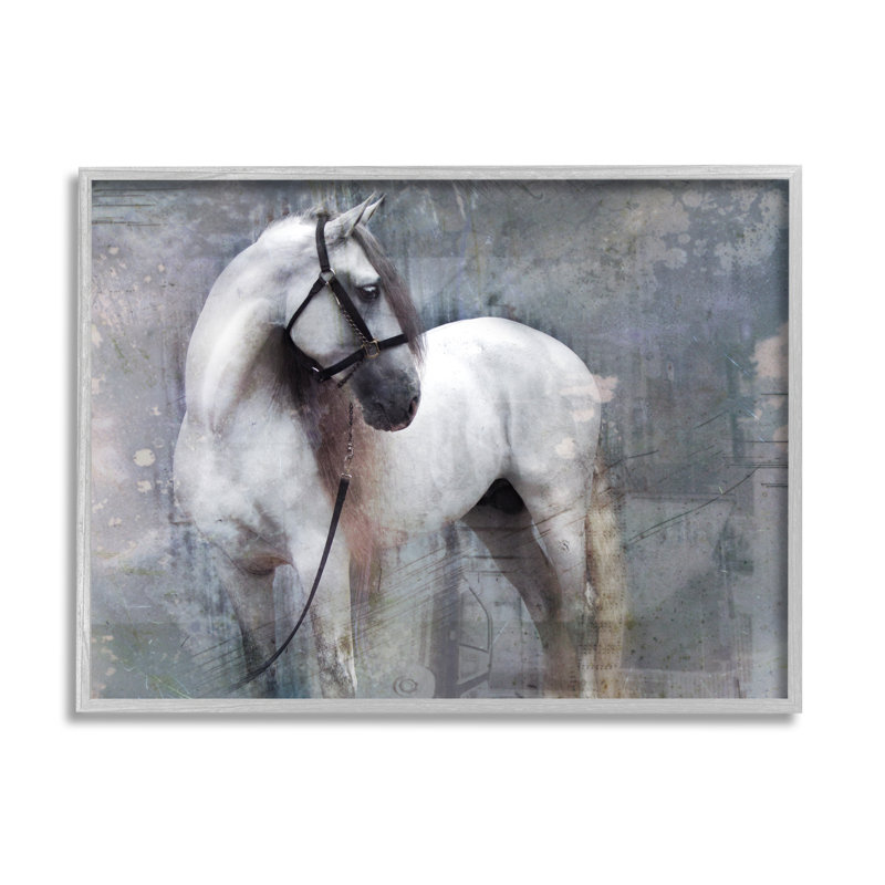 Peinture abstraite à cheval gris encadrée sur bois par Susan Friedman, peinture, H 24 po x l 30 po x P 1,5 po