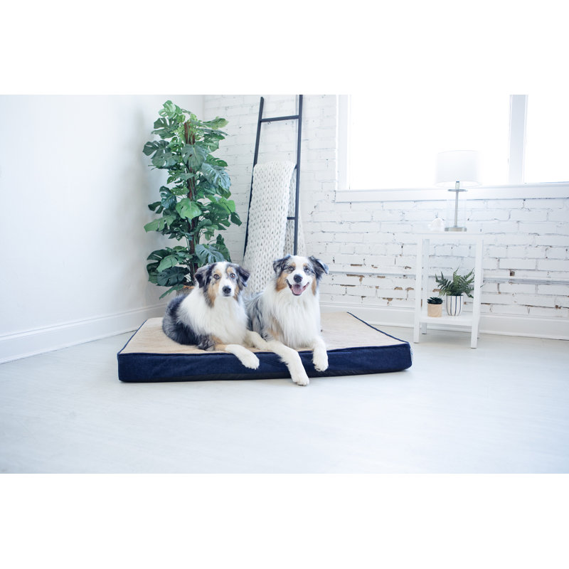 Lit orthopédique pour chien Petmate Bentley, 50 po x 40 po x 4 po, Bleu minuit