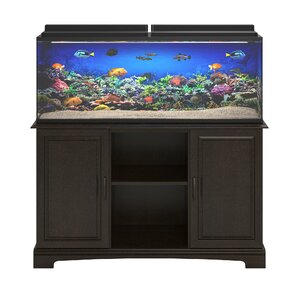 Archie & Oscar™ Deirdre Rectangle Aquarium Stand & Reviews | Wayfair