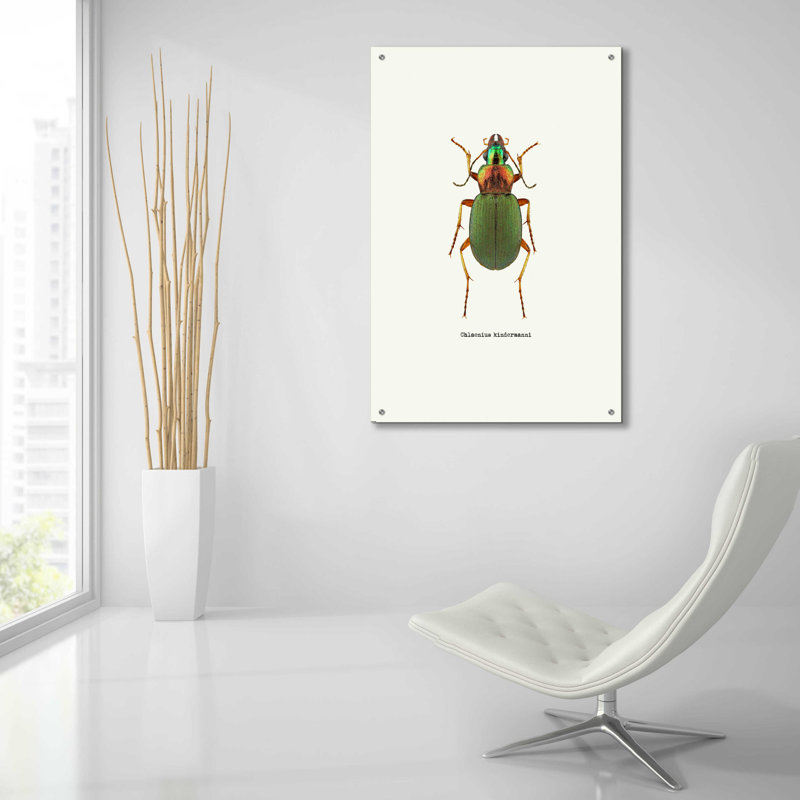 «Beetle Green» par Graphinc - impression non encadrée, H 36 po x l 24 po x P 0,2 po