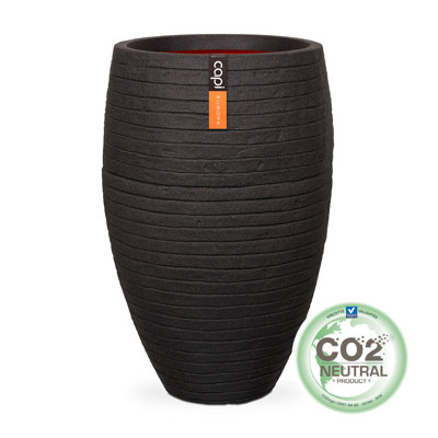 Pot Planter