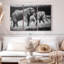 «Grazing Kenyan Elephants» sur-306870063