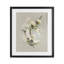 Papier fleurs blanches, reproduction encadrée sous verre, conception de House Fenway-729237657-729237659