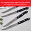 ZWILLING Twin Gourmet Classic 4-pc Steak Knife Set