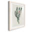 Protea N33 - Peinture encadrée-1258477349-1258477358