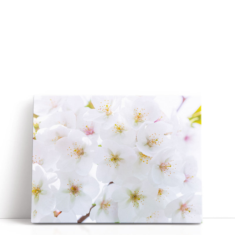 «Blossom», reproduction d'art sur toile, H 12 po x l 16 po