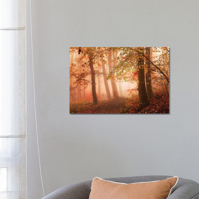 Calm Walk In Colors by Leif Londal - Wrapped Canvas Print, 66.04 cm H x 45.72 cm W x 1.91 cm D