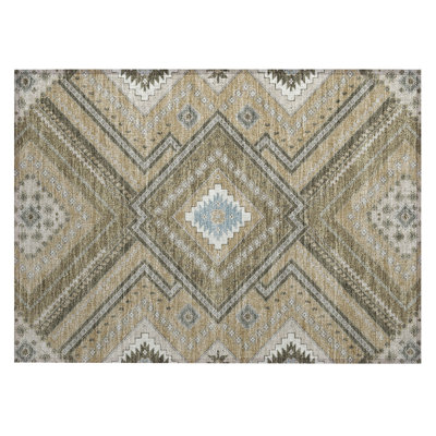 Chayden Indoor/Outdoor Chantille ACN1010 Area Rug