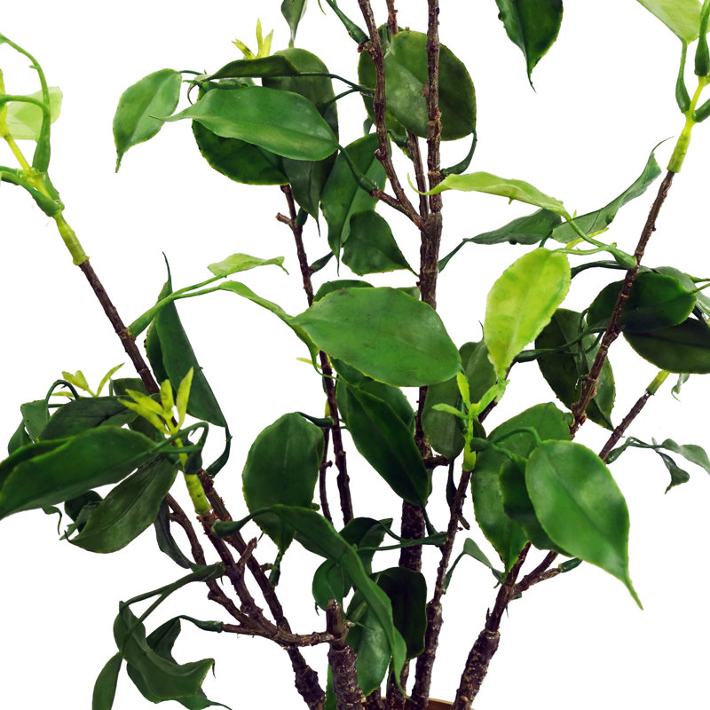 Anlin 60cm Faux Bonsai Tree in Pot