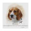 « beagle », reproduction d’impression sur toile tendue-26852964