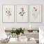 "Minimal Botanical" Pastel Wild Flower Daisy Variétés-91875093-91875091