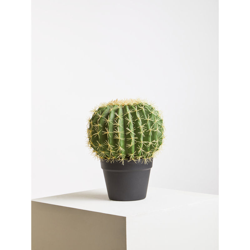 30cm Faux Cactus Plant in Pot
