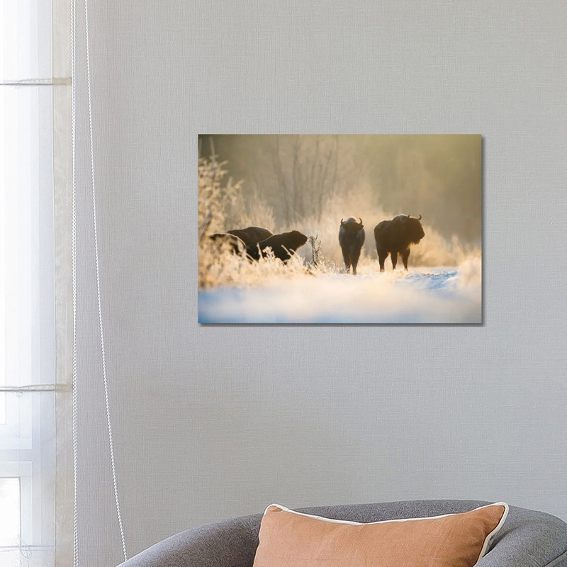 Bison In Winter Landscape by Mateusz Piesiak - Wrapped Canvas Print, 66.04 cm H x 45.72 cm W x 1.91 cm D