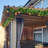 86.7'' Faux Begonia Leaf Topiary