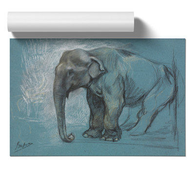 Study of an Elephant by John Macallan Swan - Frameless Print