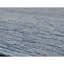 Wool Area Rug in Blue/Beige-1494481485