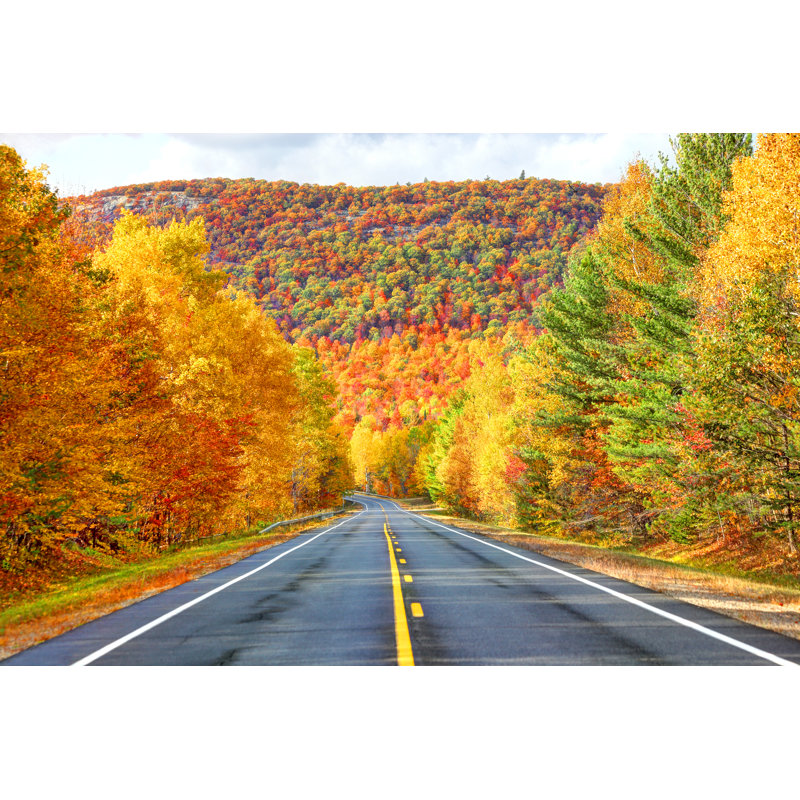 Autumn 1 Piece Wrapped Canvas Wall Art, 20cm H x 30cm W x 3.8cm D