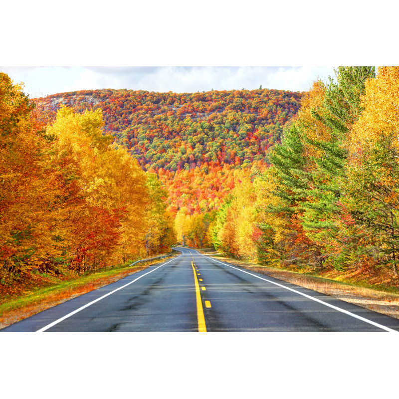 Autumn by DenisTangneyJr - Wrapped Canvas Print, 20cm H x 30cm W x 3.8cm D