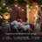 Ambience Pro 27 Ft. Outdoor Solar LED 1-Watt String Lights In Warm White With 15 Hooks