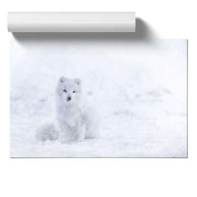 Arctic Snow Fox Painting - Frameless Print