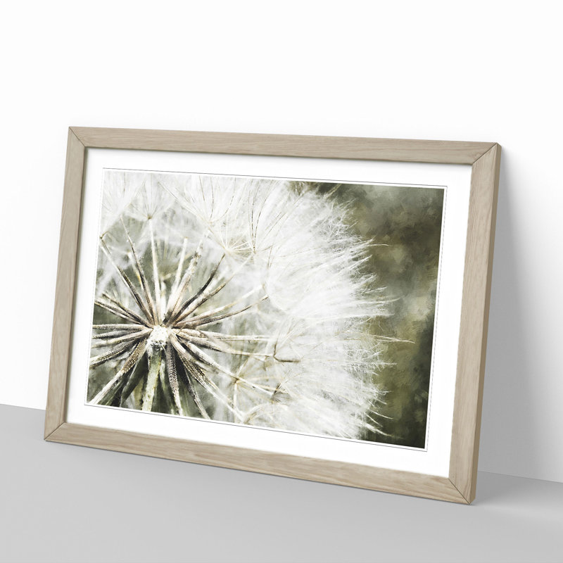 Dandelion Seeds Vol.4 - Picture Frame Graphic Art, 27cm H x 36cm W x 2cm D, Oak Framed